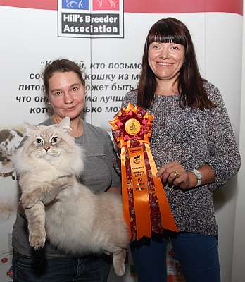 �������� ����� '�������&nbsp;���-�����' 31 ������� - 1 �������� 2013 �. WCF-�����_4570