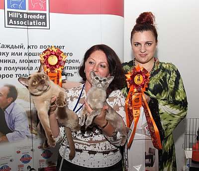 �������� ����� '�������&nbsp;���-�����' 31 ������� - 1 �������� 2013 �. WCF-�����_4581