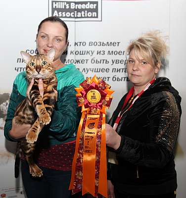 �������� ����� '�������&nbsp;���-�����' 31 ������� - 1 �������� 2013 �. WCF-�����_4583