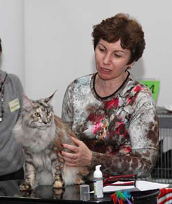 �������� ����� '�������&nbsp;���-�����' 31 ������� - 1 �������� 2013 �. WCF-�����_4894