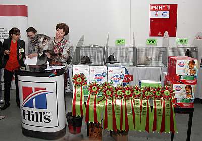 �������� ����� '�������&nbsp;���-�����' 31 ������� - 1 �������� 2013 �. WCF-�����_4898