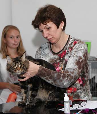 �������� ����� '�������&nbsp;���-�����' 31 ������� - 1 �������� 2013 �. WCF-�����_4908