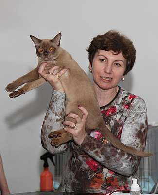 �������� ����� '�������&nbsp;���-�����' 31 ������� - 1 �������� 2013 �. WCF-�����_4956