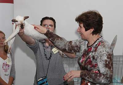 �������� ����� '�������&nbsp;���-�����' 31 ������� - 1 �������� 2013 �. WCF-�����_4960