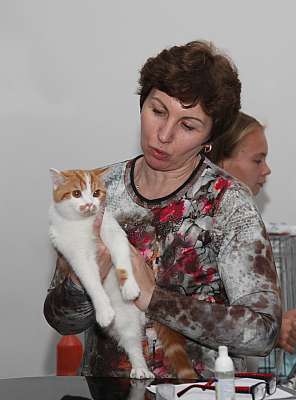 �������� ����� '�������&nbsp;���-�����' 31 ������� - 1 �������� 2013 �. WCF-�����_4966