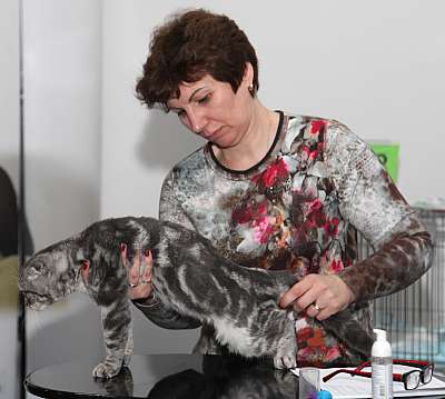 �������� ����� '�������&nbsp;���-�����' 31 ������� - 1 �������� 2013 �. WCF-�����_4969