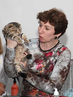 �������� ����� '�������&nbsp;���-�����' 31 ������� - 1 �������� 2013 �. WCF-�����_4977