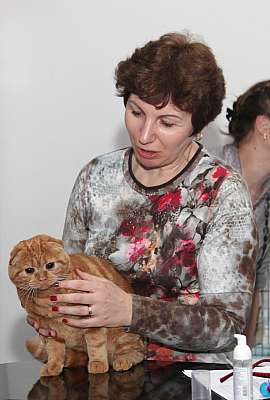 �������� ����� '�������&nbsp;���-�����' 31 ������� - 1 �������� 2013 �. WCF-�����_4983