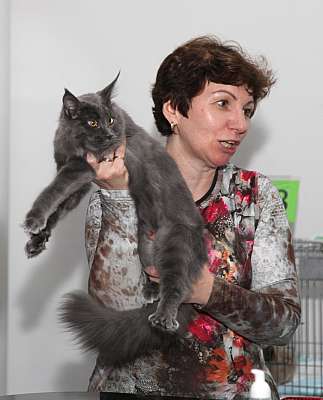 �������� ����� '�������&nbsp;���-�����' 31 ������� - 1 �������� 2013 �. WCF-�����_4993