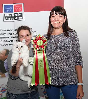 �������� ����� '�������&nbsp;���-�����' 31 ������� - 1 �������� 2013 �. WCF-�����_5012