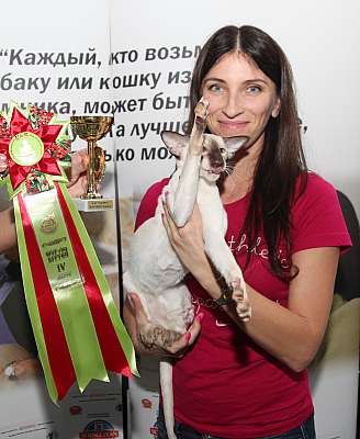 �������� ����� '�������&nbsp;���-�����' 31 ������� - 1 �������� 2013 �. WCF-�����_5019