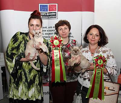 �������� ����� '�������&nbsp;���-�����' 31 ������� - 1 �������� 2013 �. WCF-�����_5027