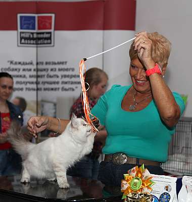 �������� ����� '�������&nbsp;���-�����' 31 ������� - 1 �������� 2013 �. WCF-�����_5719