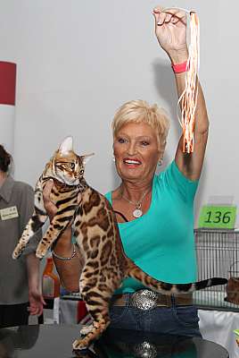 �������� ����� '�������&nbsp;���-�����' 31 ������� - 1 �������� 2013 �. WCF-�����_5759