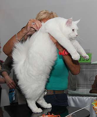 �������� ����� '�������&nbsp;���-�����' 31 ������� - 1 �������� 2013 �. WCF-�����_5770