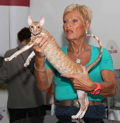 �������� ����� '�������&nbsp;���-�����' 31 ������� - 1 �������� 2013 �. WCF-�����_5779