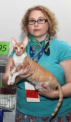 �������� ����� '�������&nbsp;���-�����' 31 ������� - 1 �������� 2013 �. WCF-�����_5811