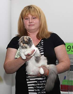 �������� ����� '�������&nbsp;���-�����' 31 ������� - 1 �������� 2013 �. WCF-�����_5813