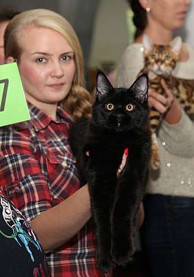 �������� ����� '�������&nbsp;���-�����' 31 ������� - 1 �������� 2013 �. WCF-�����_5815