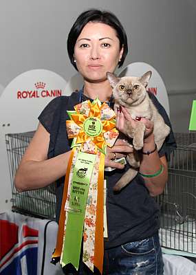 �������� ����� '�������&nbsp;���-�����' 31 ������� - 1 �������� 2013 �. WCF-�����_5827