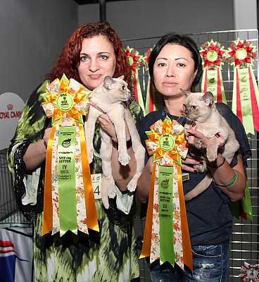 �������� ����� '�������&nbsp;���-�����' 31 ������� - 1 �������� 2013 �. WCF-�����_5830