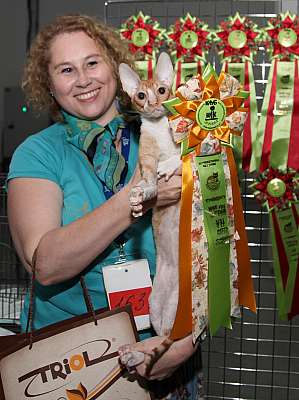 �������� ����� '�������&nbsp;���-�����' 31 ������� - 1 �������� 2013 �. WCF-�����_5842