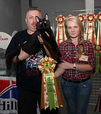 �������� ����� '�������&nbsp;���-�����' 31 ������� - 1 �������� 2013 �. WCF-�����_5848