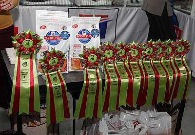 �������� ����� '�������&nbsp;���-�����' 31 ������� - 1 �������� 2013 �. WCF-�����_6159