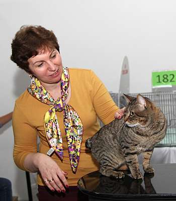 �������� ����� '�������&nbsp;���-�����' 31 ������� - 1 �������� 2013 �. WCF-�����_6162