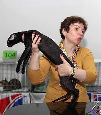 �������� ����� '�������&nbsp;���-�����' 31 ������� - 1 �������� 2013 �. WCF-�����_6165