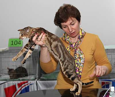 �������� ����� '�������&nbsp;���-�����' 31 ������� - 1 �������� 2013 �. WCF-�����_6171