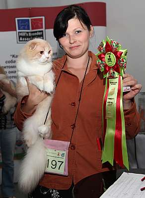 �������� ����� '�������&nbsp;���-�����' 31 ������� - 1 �������� 2013 �. WCF-�����_6223