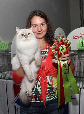 �������� ����� '�������&nbsp;���-�����' 31 ������� - 1 �������� 2013 �. WCF-�����_6240