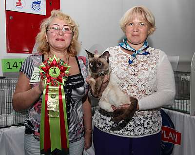 �������� ����� '�������&nbsp;���-�����' 31 ������� - 1 �������� 2013 �. WCF-�����_6249