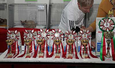 �������� ����� '�������&nbsp;���-�����' 31 ������� - 1 �������� 2013 �. WCF-�����_6314