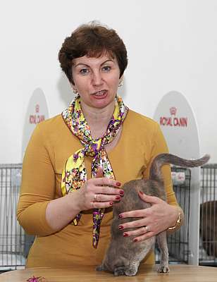 �������� ����� '�������&nbsp;���-�����' 31 ������� - 1 �������� 2013 �. WCF-�����_6318