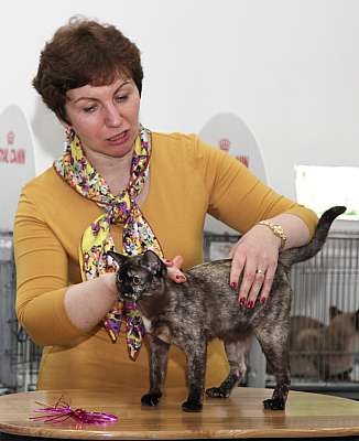 �������� ����� '�������&nbsp;���-�����' 31 ������� - 1 �������� 2013 �. WCF-�����_6323