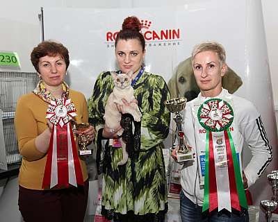 �������� ����� '�������&nbsp;���-�����' 31 ������� - 1 �������� 2013 �. WCF-�����_6352