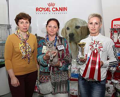 �������� ����� '�������&nbsp;���-�����' 31 ������� - 1 �������� 2013 �. WCF-�����_6355