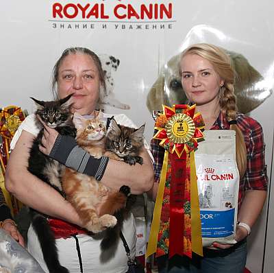 �������� ����� '�������&nbsp;���-�����' 31 ������� - 1 �������� 2013 �.