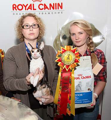 �������� ����� '�������&nbsp;���-�����' 31 ������� - 1 �������� 2013 �.