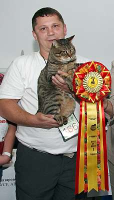 �������� ����� '�������&nbsp;���-�����' 31 ������� - 1 �������� 2013 �.