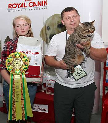 �������� ����� '�������&nbsp;���-�����' 31 ������� - 1 �������� 2013 �.