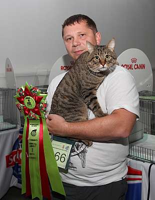 �������� ����� '�������&nbsp;���-�����' 31 ������� - 1 �������� 2013 �.