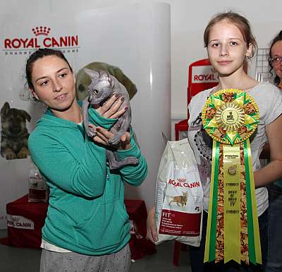 �������� ����� '�������&nbsp;���-�����' 31 ������� - 1 �������� 2013 �.