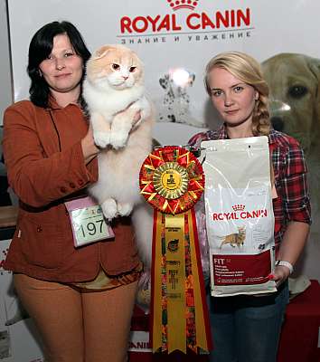 �������� ����� '�������&nbsp;���-�����' 31 ������� - 1 �������� 2013 �.