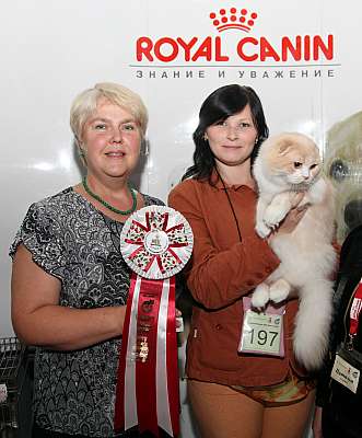 �������� ����� '�������&nbsp;���-�����' 31 ������� - 1 �������� 2013 �.