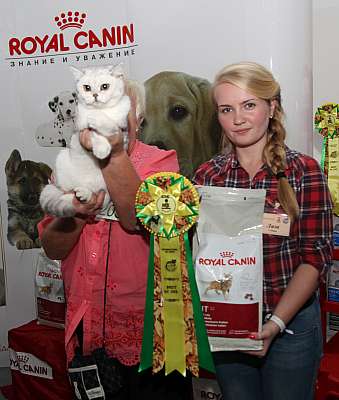 �������� ����� '�������&nbsp;���-�����' 31 ������� - 1 �������� 2013 �.