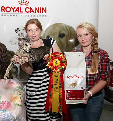 �������� ����� '�������&nbsp;���-�����' 31 ������� - 1 �������� 2013 �.