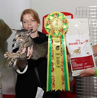 �������� ����� '�������&nbsp;���-�����' 31 ������� - 1 �������� 2013 �.